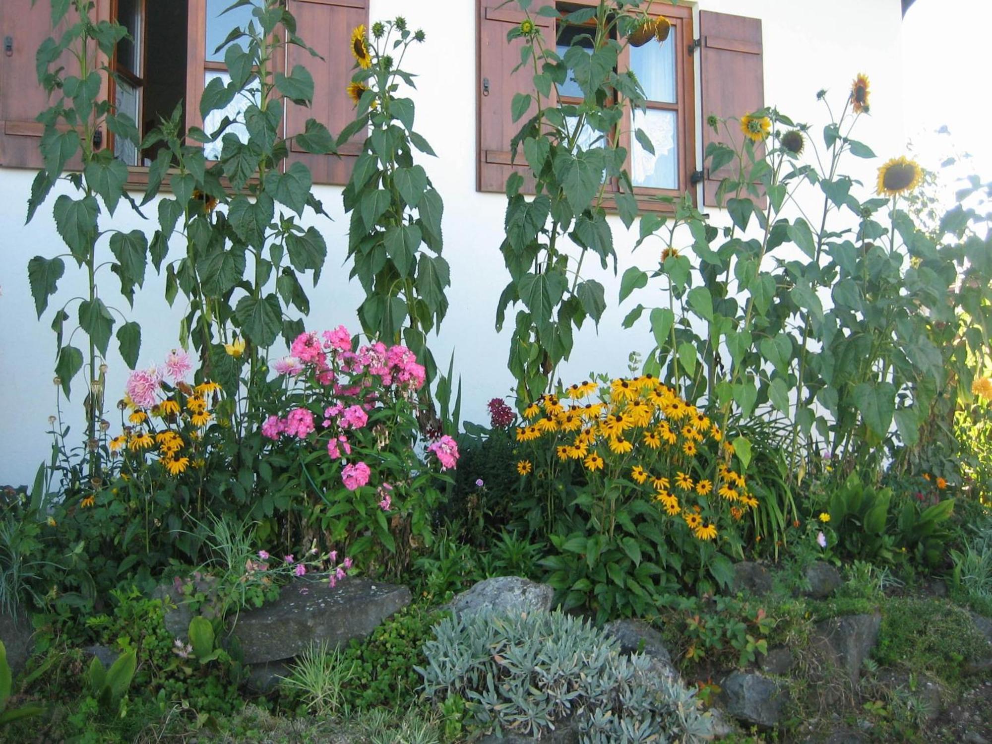 In The Allg U With View Of The Bavarian Alps Appartement Bernbeuren