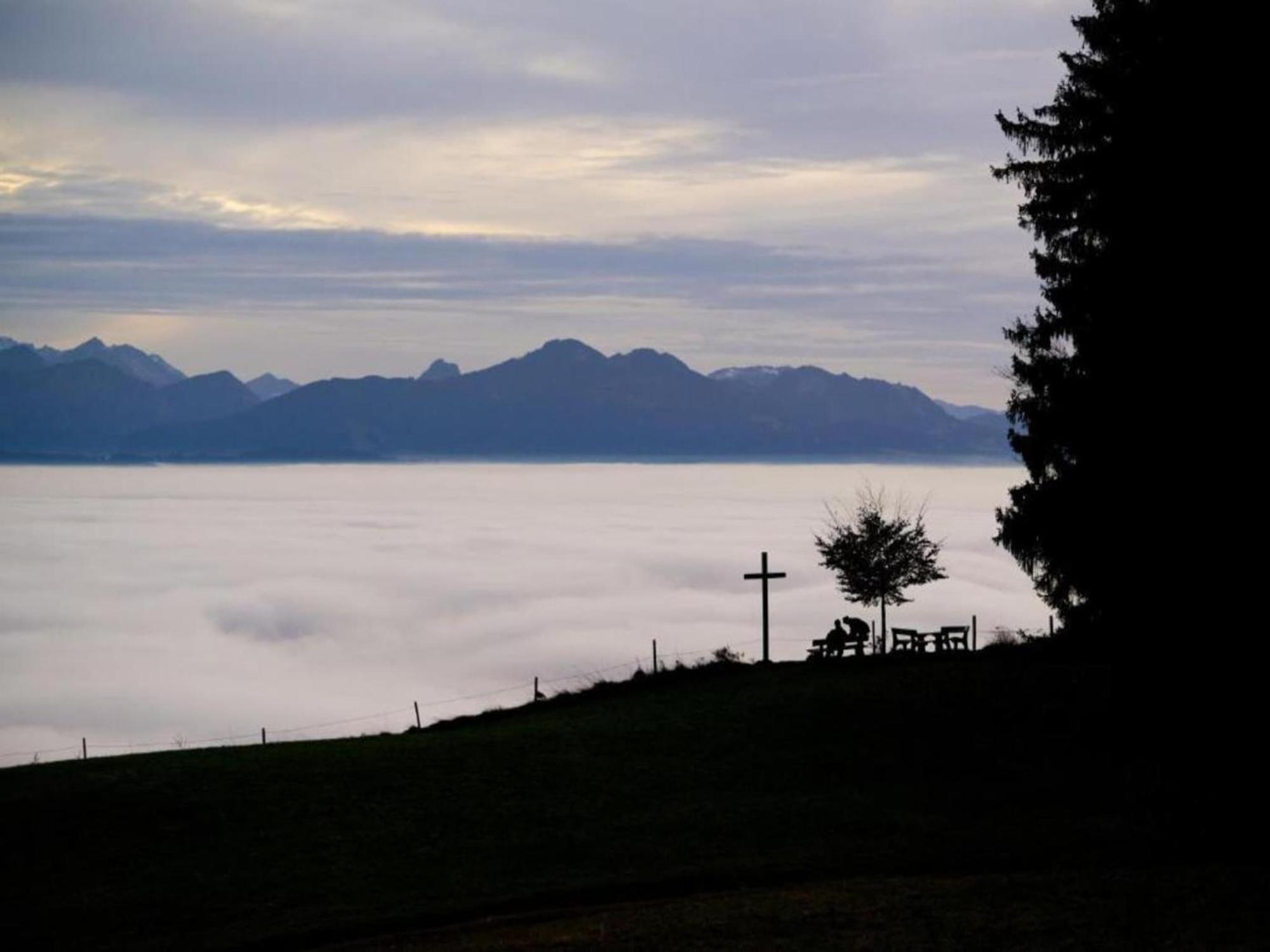 In The Allg U With View Of The Bavarian Alps * Bernbeuren