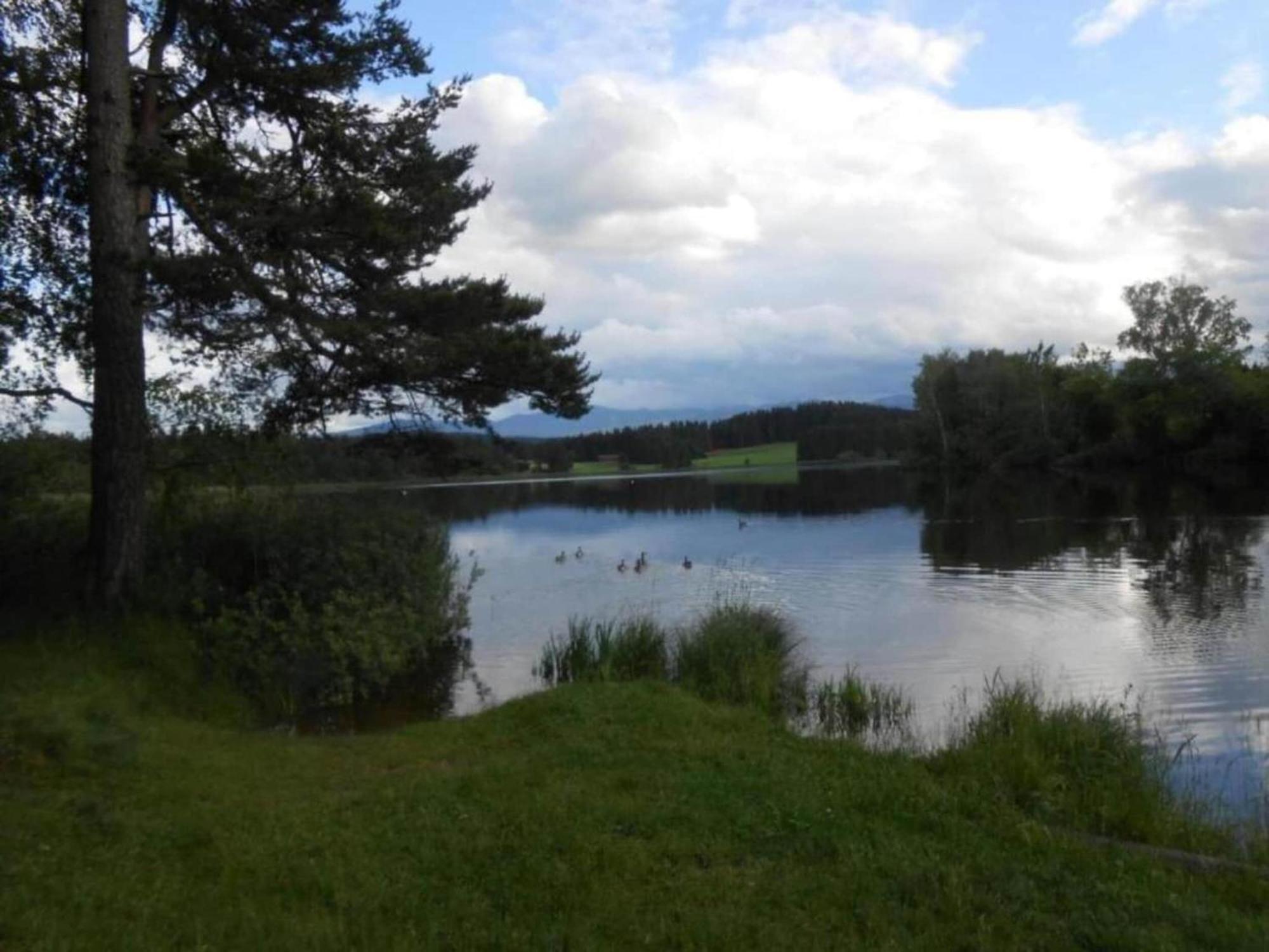 In The Allg U With View Of The Bavarian Alps *