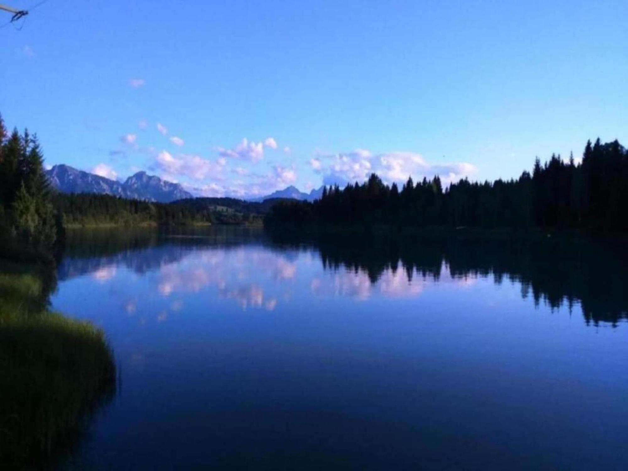 In The Allg U With View Of The Bavarian Alps Appartement *