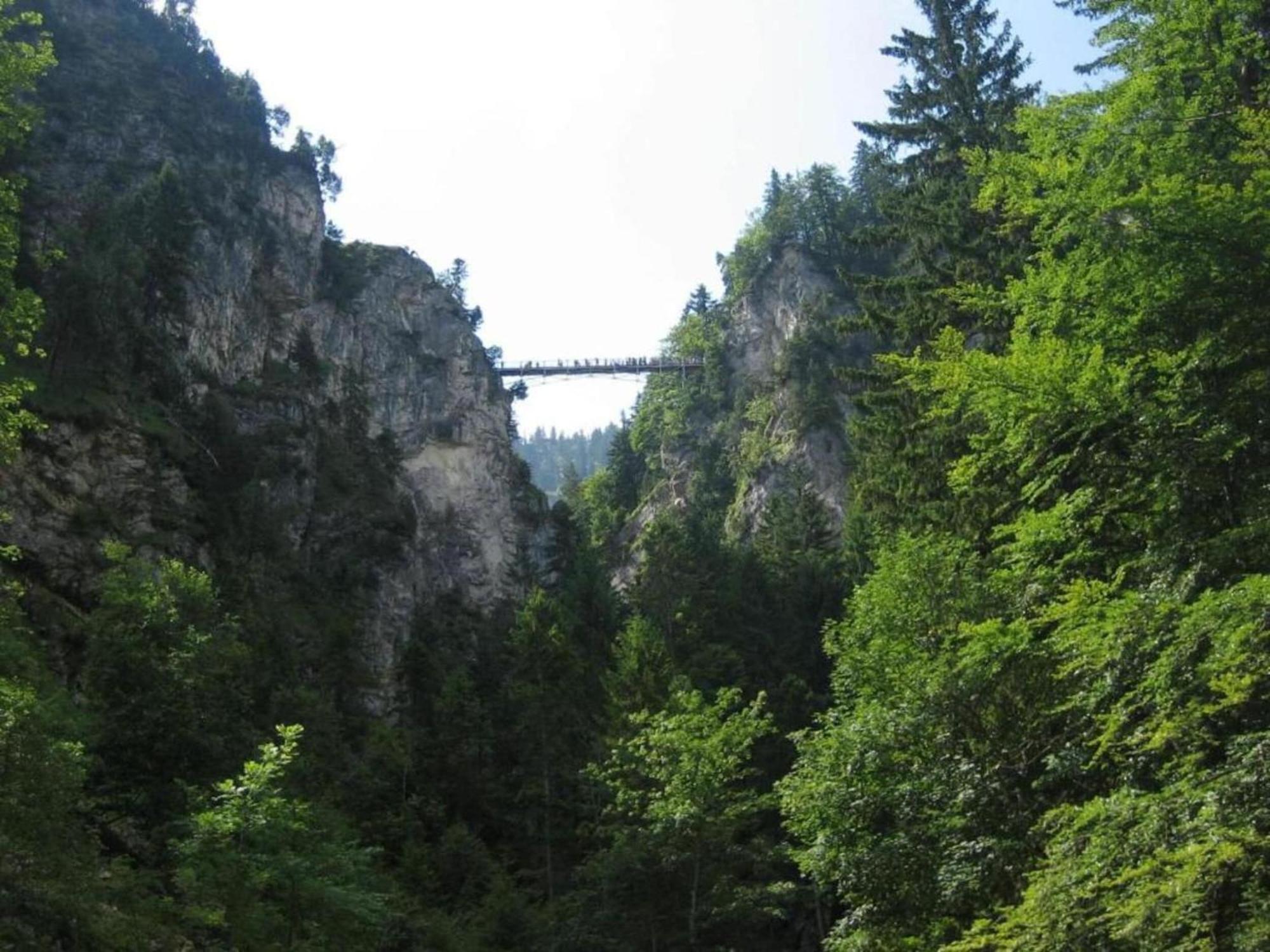 In The Allg U With View Of The Bavarian Alps *